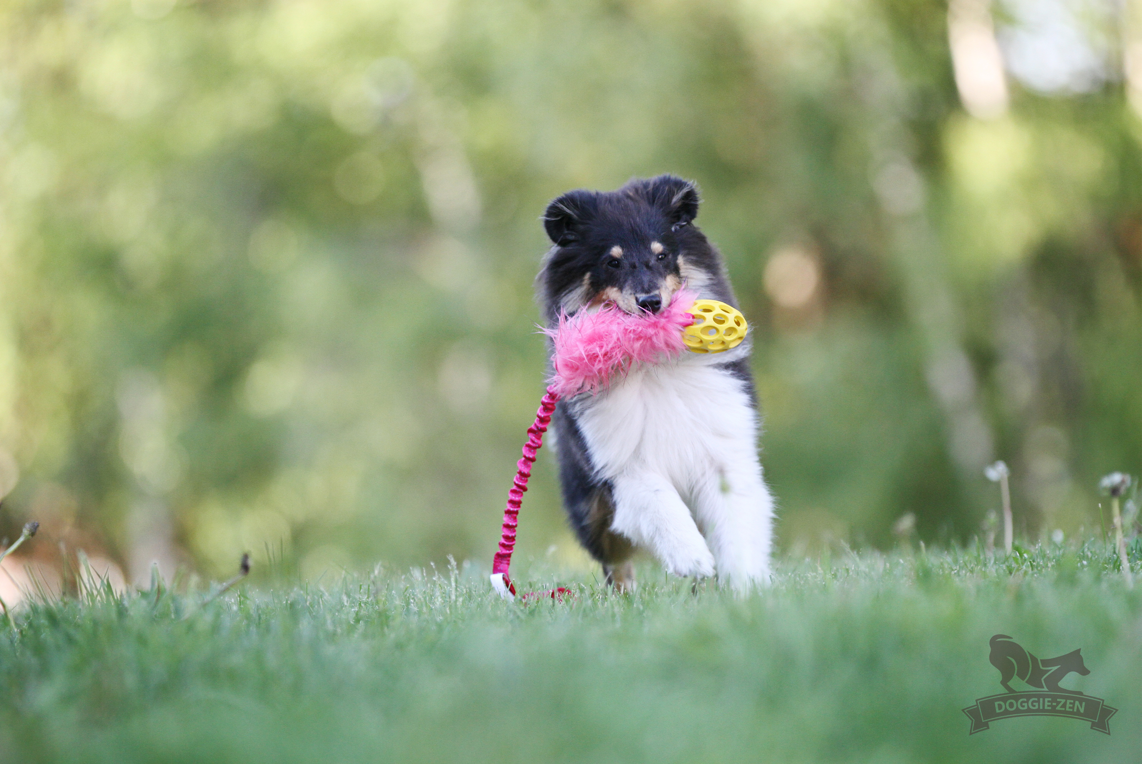 Bungee Fake Fur Tug S with Hol-ee Football - 21