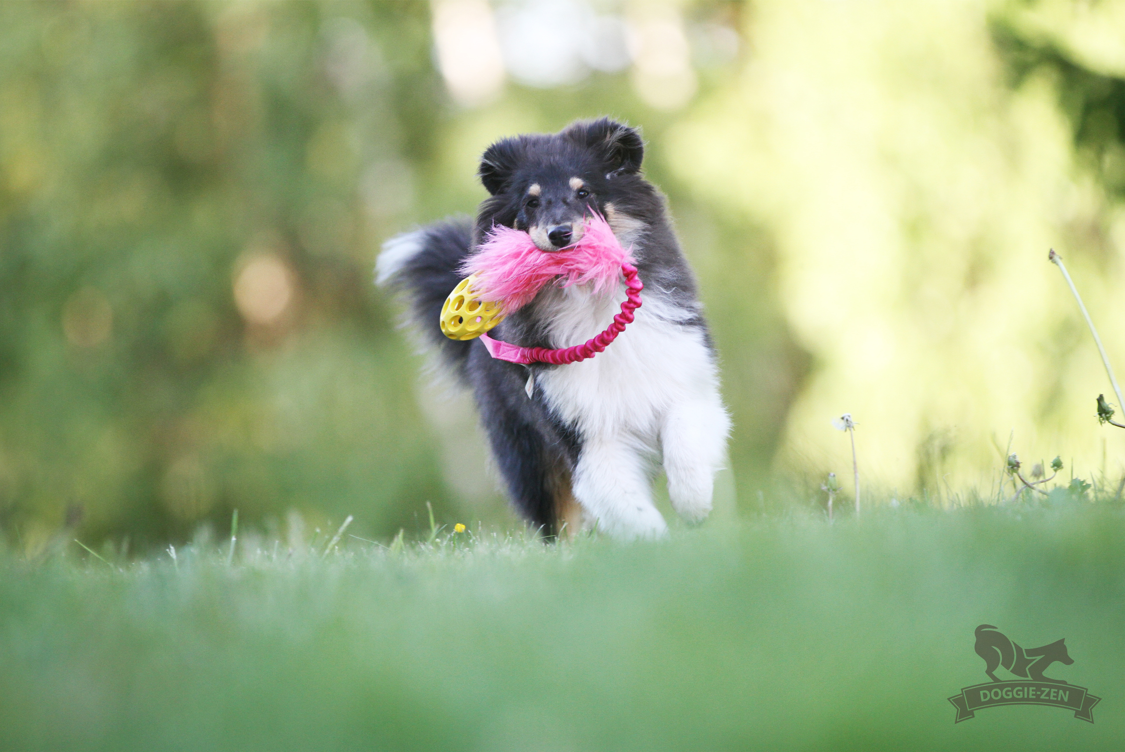 Bungee Fake Fur Tug S with Hol-ee Football - 18