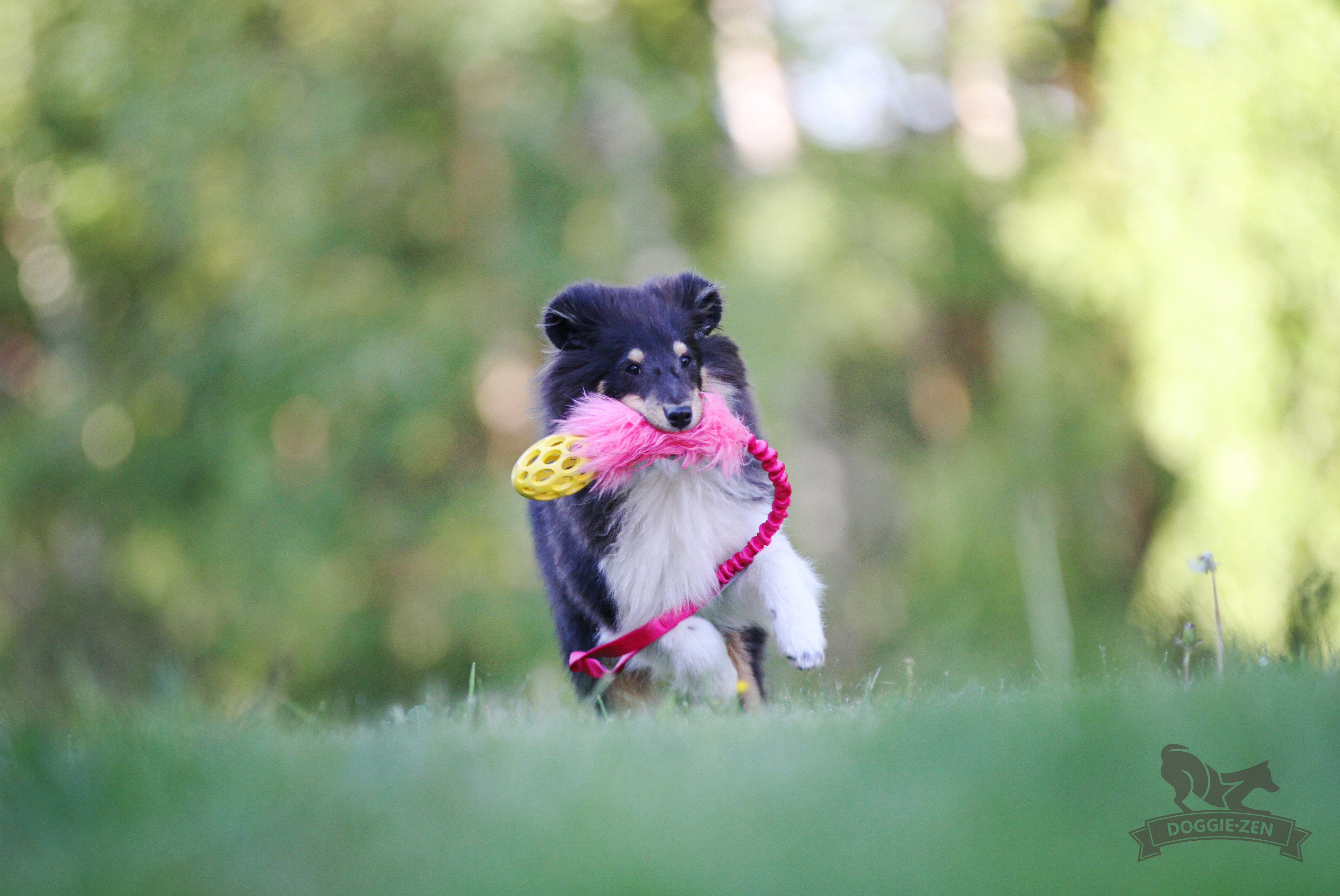 Bungee Fake Fur Tug S with Hol-ee Football - 17
