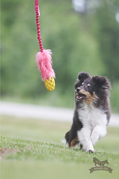 Bungee Fake Fur Tug S with Hol-ee Football