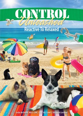 Control Unleashed 3: Reactive to Relaxed