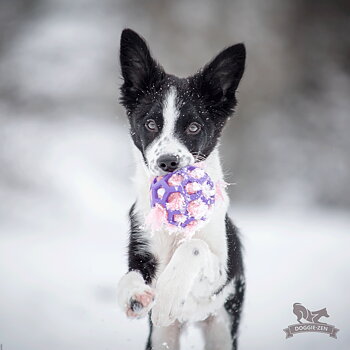 Fake Fur Crinkle to Hol-ee Toys