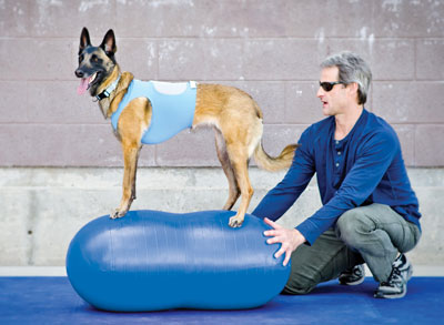 FitPAWS Peanut 70 cm - jordnötsformad balansboll  - 6
