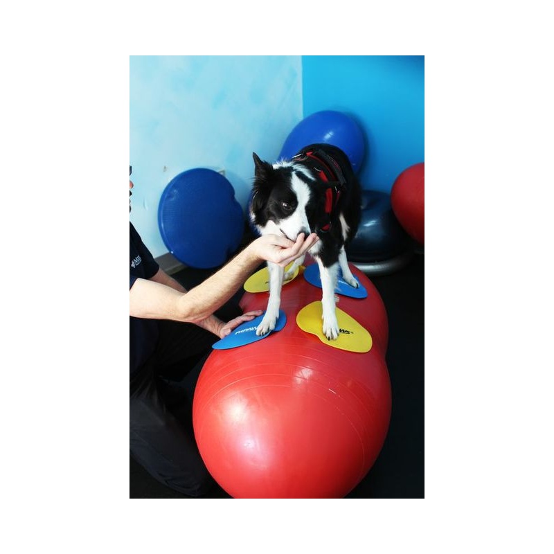 FitPAWS Peanut 80 cm - jordnötsformad balansboll  - 5