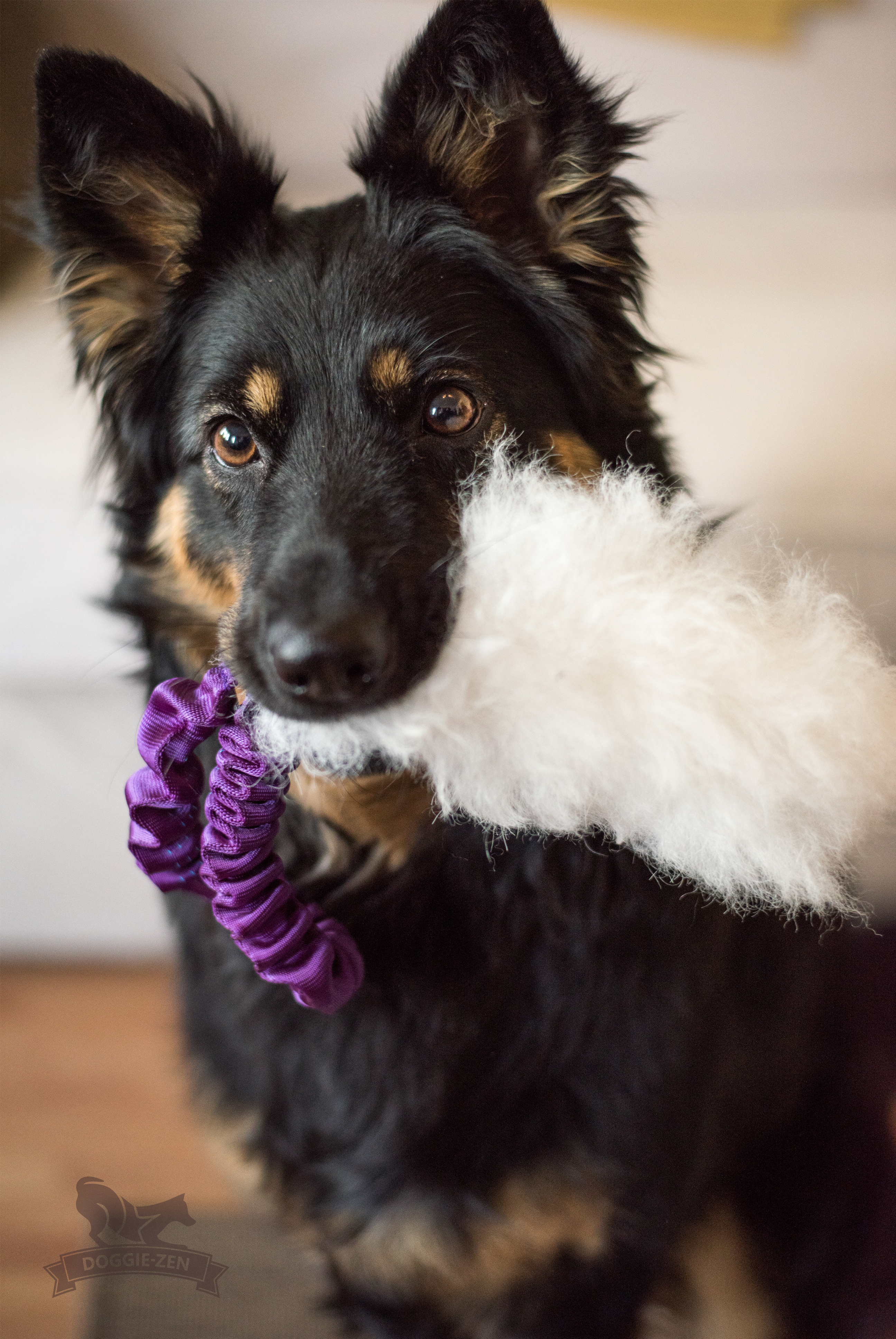 Bungee Pocket Sheepskin Tug - 5