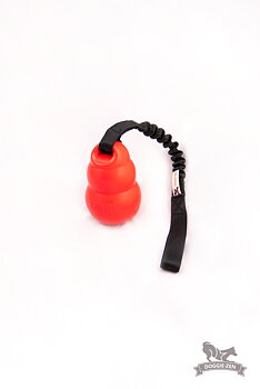 Elastisk Bounzer-kampis