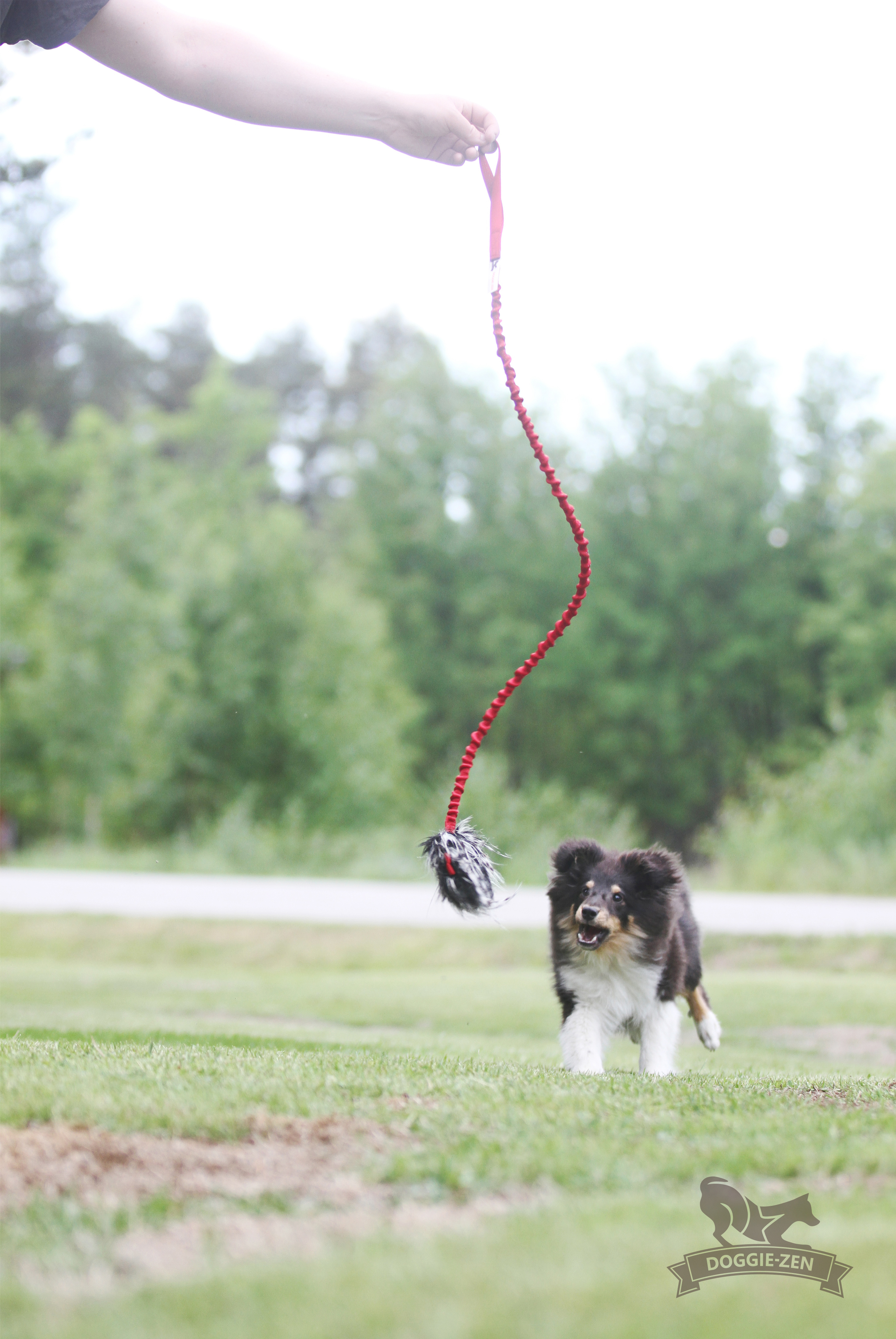 Elastisk belöningsjagarkampis fuskpäls S - 4