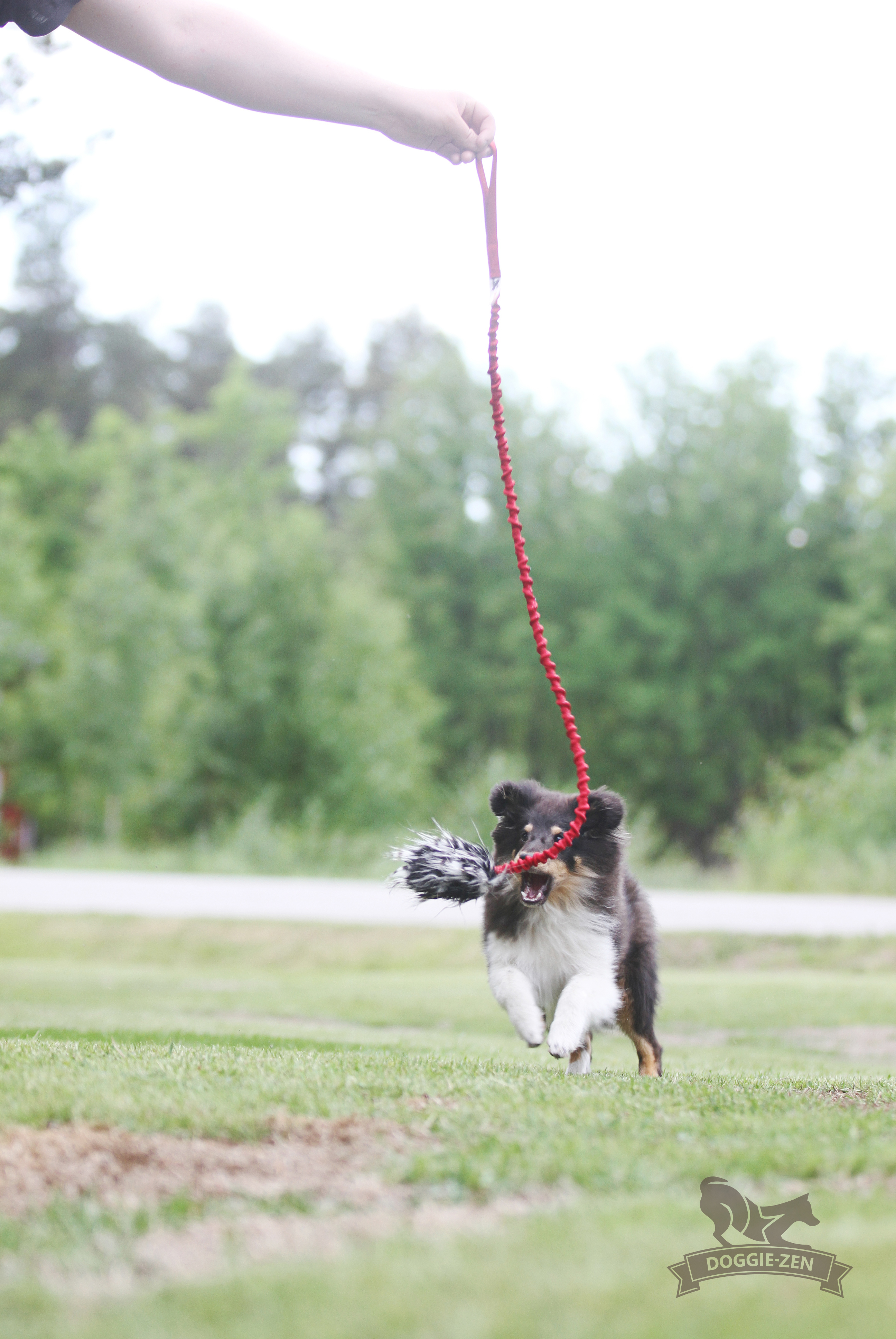 Elastisk belöningsjagarkampis fuskpäls S - 15