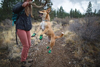 Ruffwear Summit Trex hundskor 2-pack