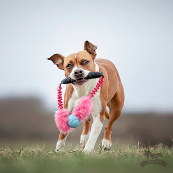 Bungee Fake Fur Tube Ring with Chuckit