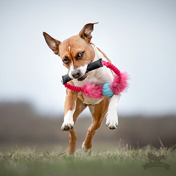 Bungee Fake Fur Tube Ring with Chuckit