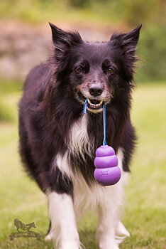 Sure Grip KONG Senior Tug L