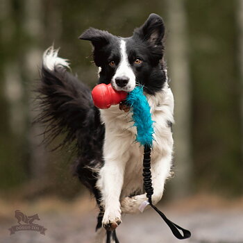 Bungee Fake Fur Tug L with KONG Classic