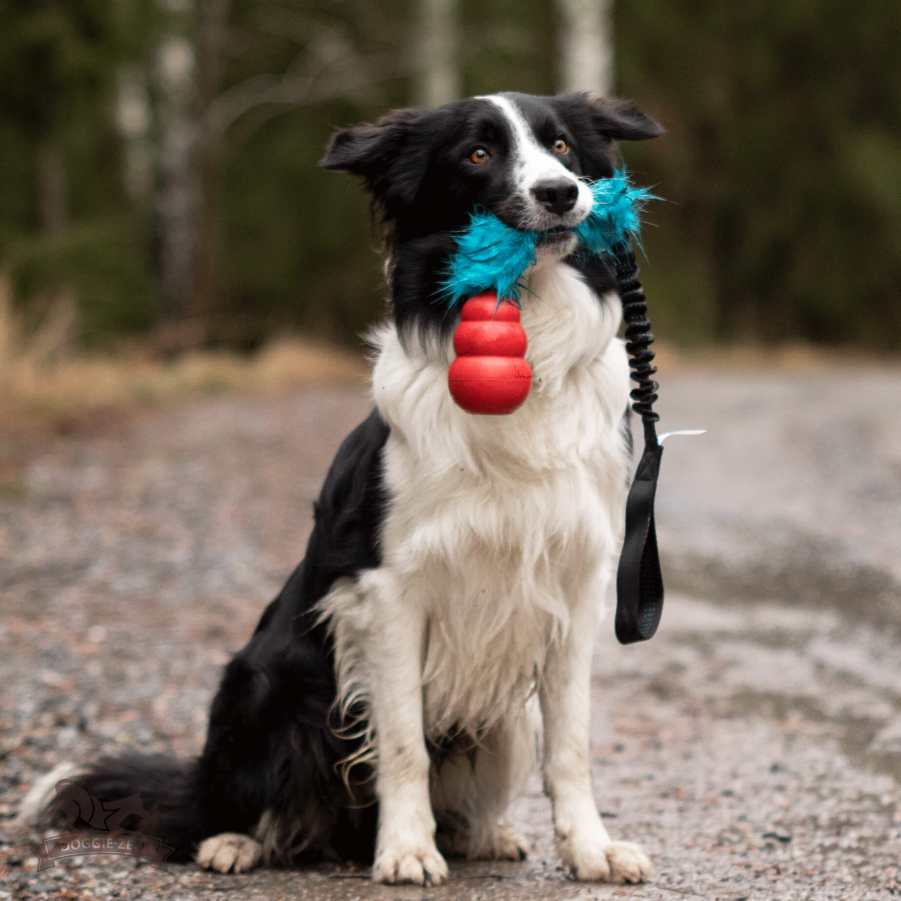 Bungee Fake Fur Tug L with KONG Classic - 3