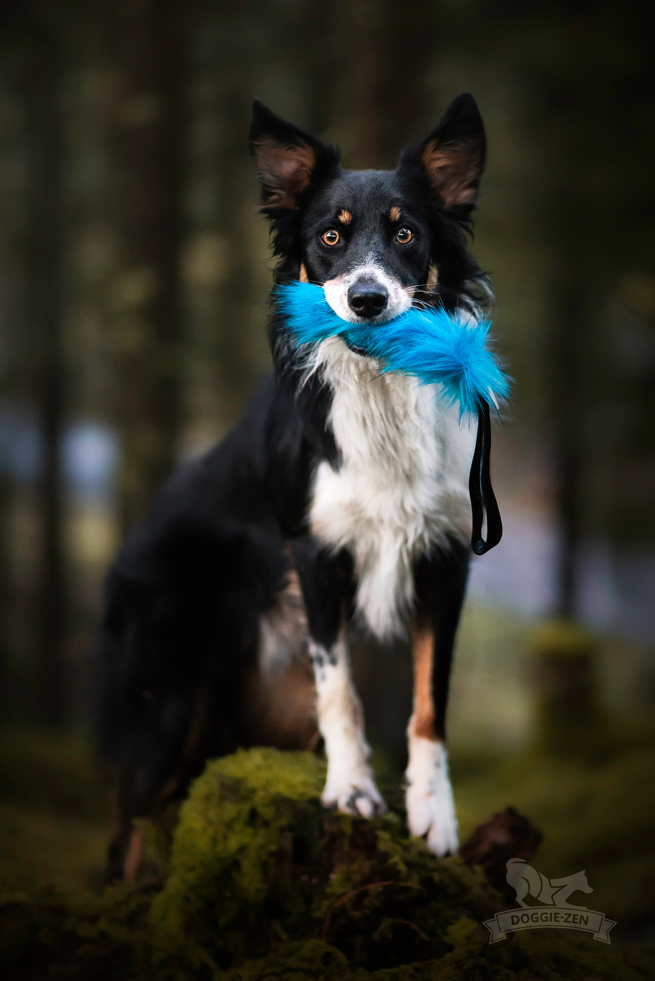 Fickkampis fuskpäls