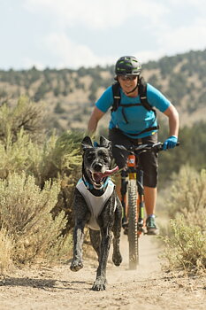 Ruffwear Jet Stream hundkylväst