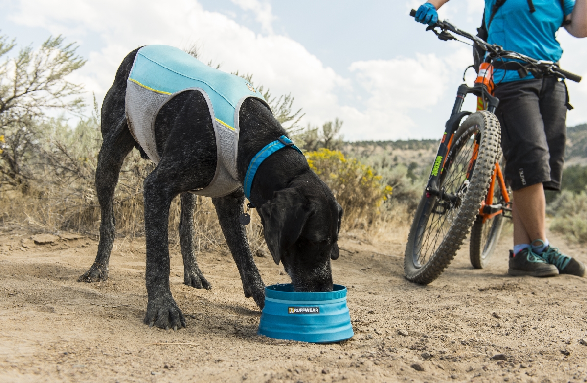 Ruffwear Jet Stream hundkylväst - 5