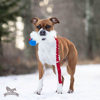 Bungee Sheepskin Tug L with Chuckit Super Crunch
