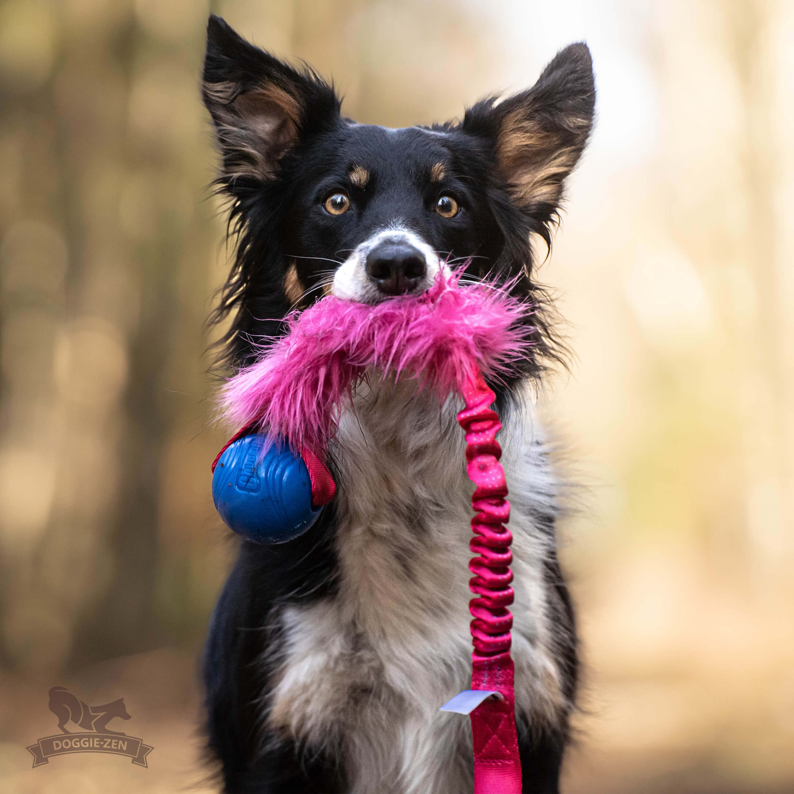 Bungee Fake Fur Tug L with Chuckit Super Crunch - 4