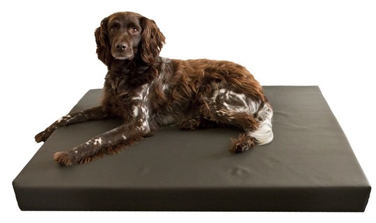 Dog beds outlet for joint problems