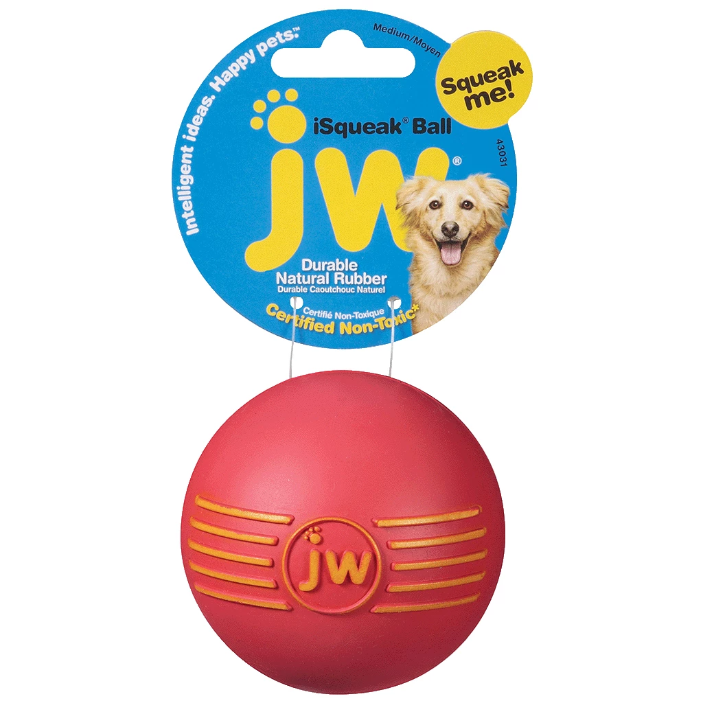 Jw fashion squeaky dog balls