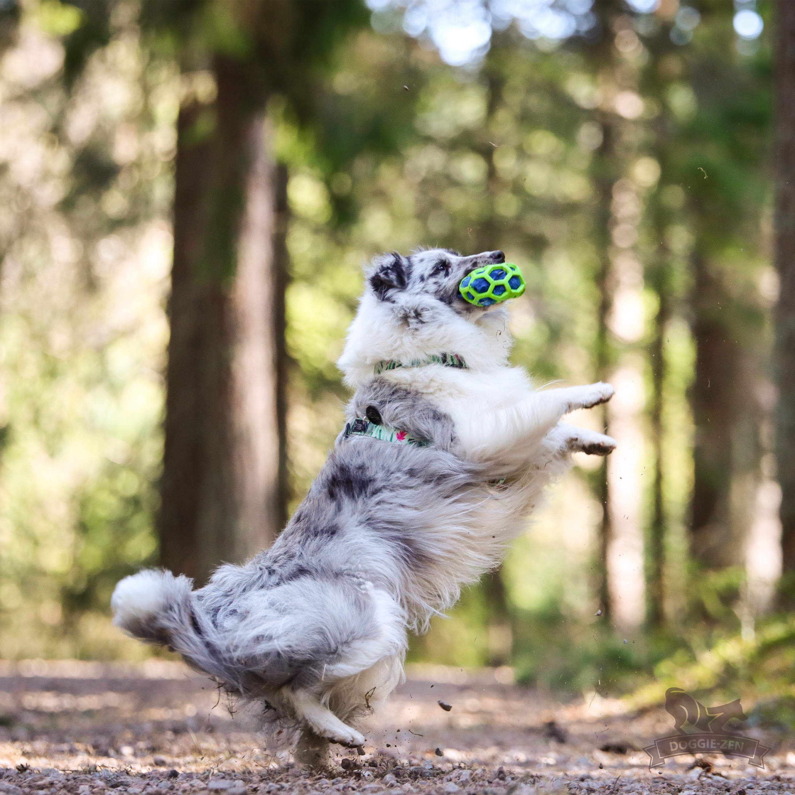 Fake Fur Squeaker to Hol-ee Toys - 4
