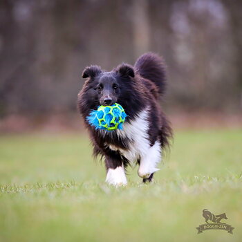 Fake Fur Squeaker to Hol-ee Toys