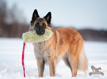 Bungee Crackle Tug