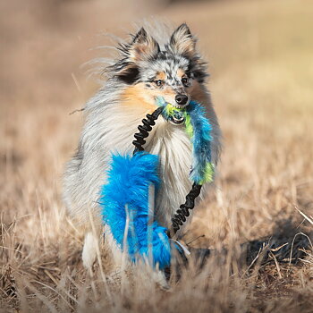 Bungee Fake Fur Ring