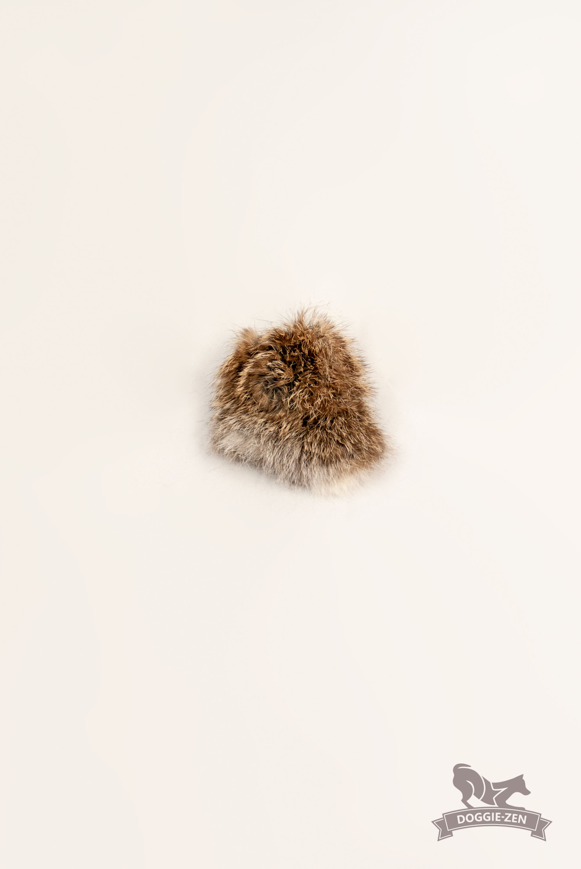 Kaninpip till Hol-ee-leksaker - 4
