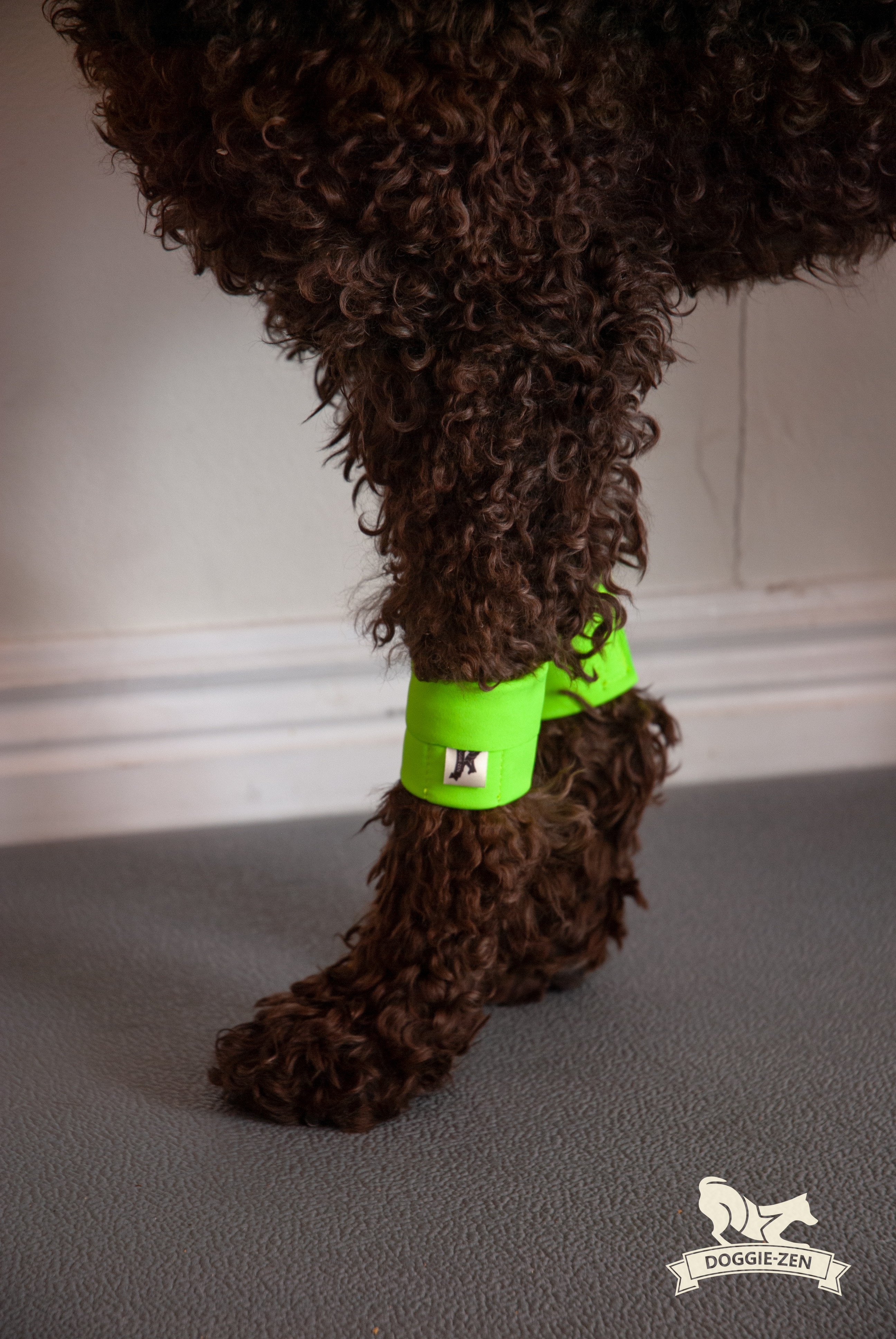 Canine Wrist/Ancle Weight Cuffs - 15