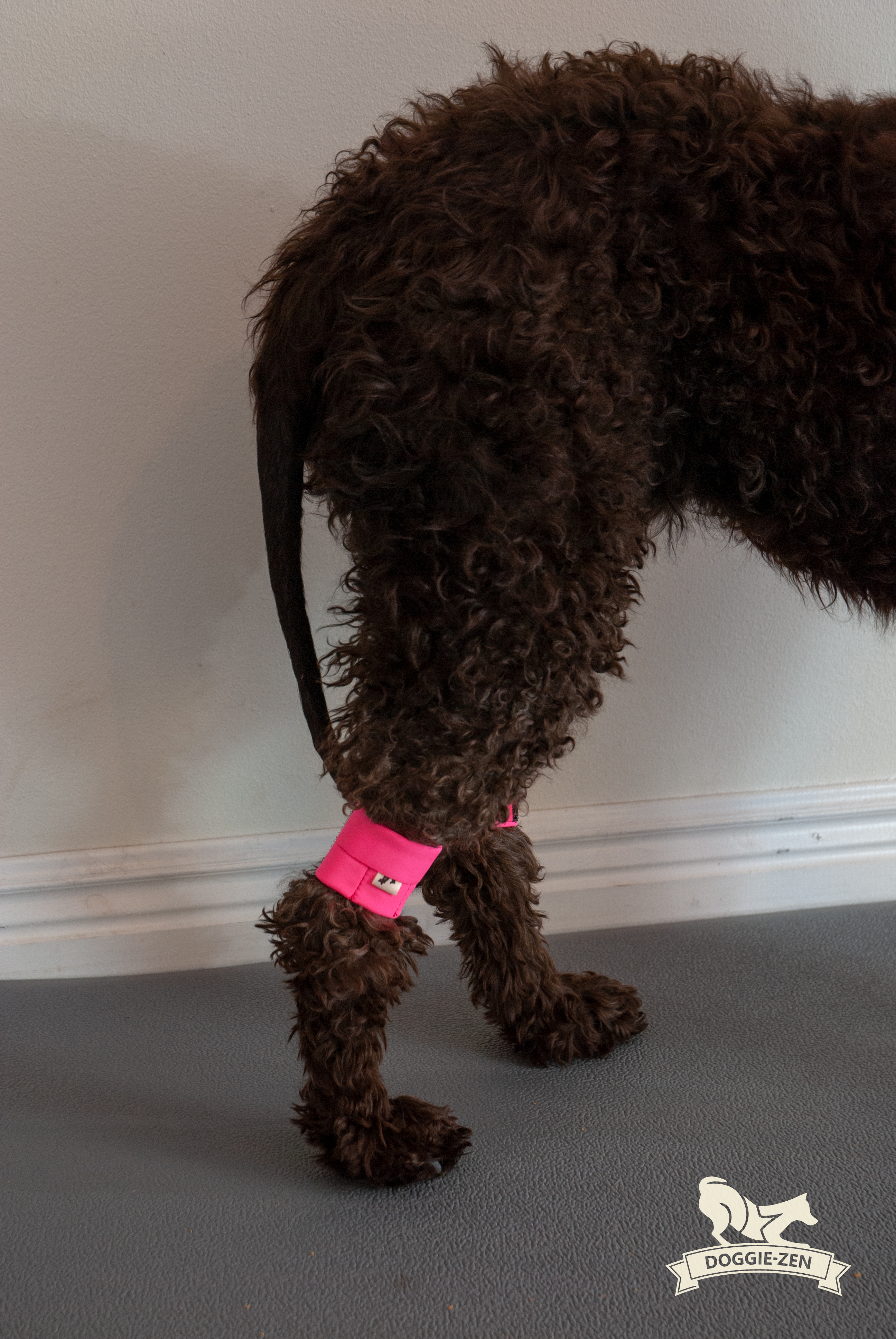 Canine Wrist/Ancle Weight Cuffs - 7