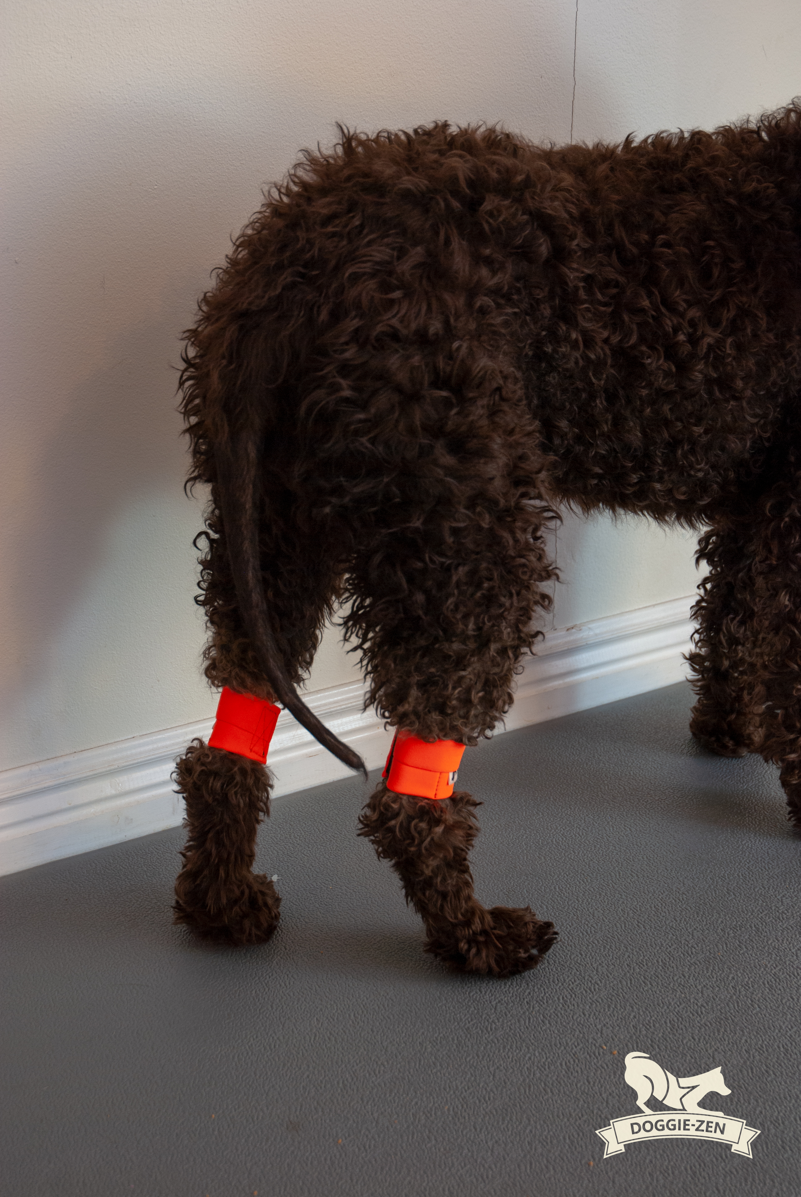 Canine Wrist/Ancle Weight Cuffs - 8