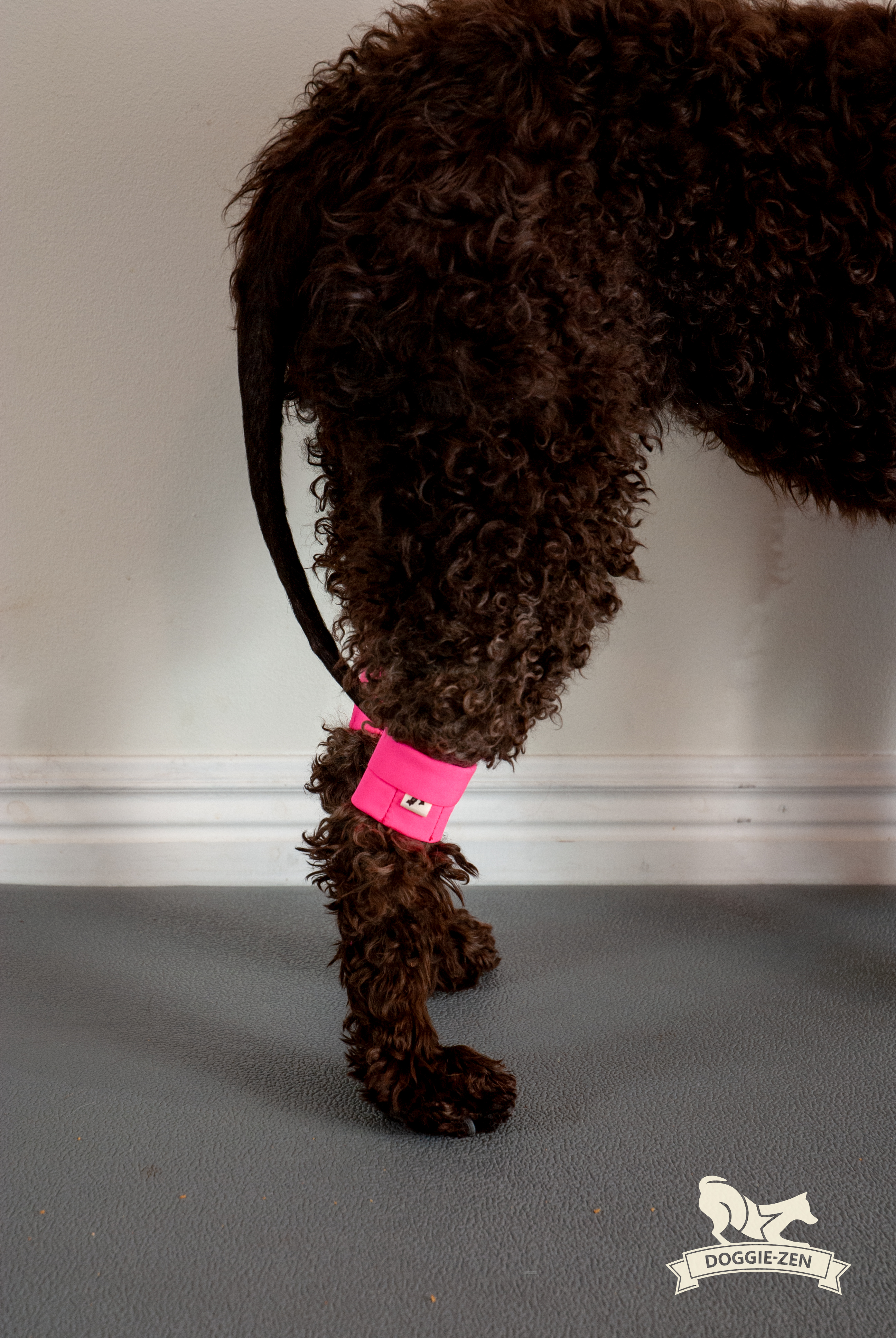 Canine Wrist/Ancle Weight Cuffs - 11