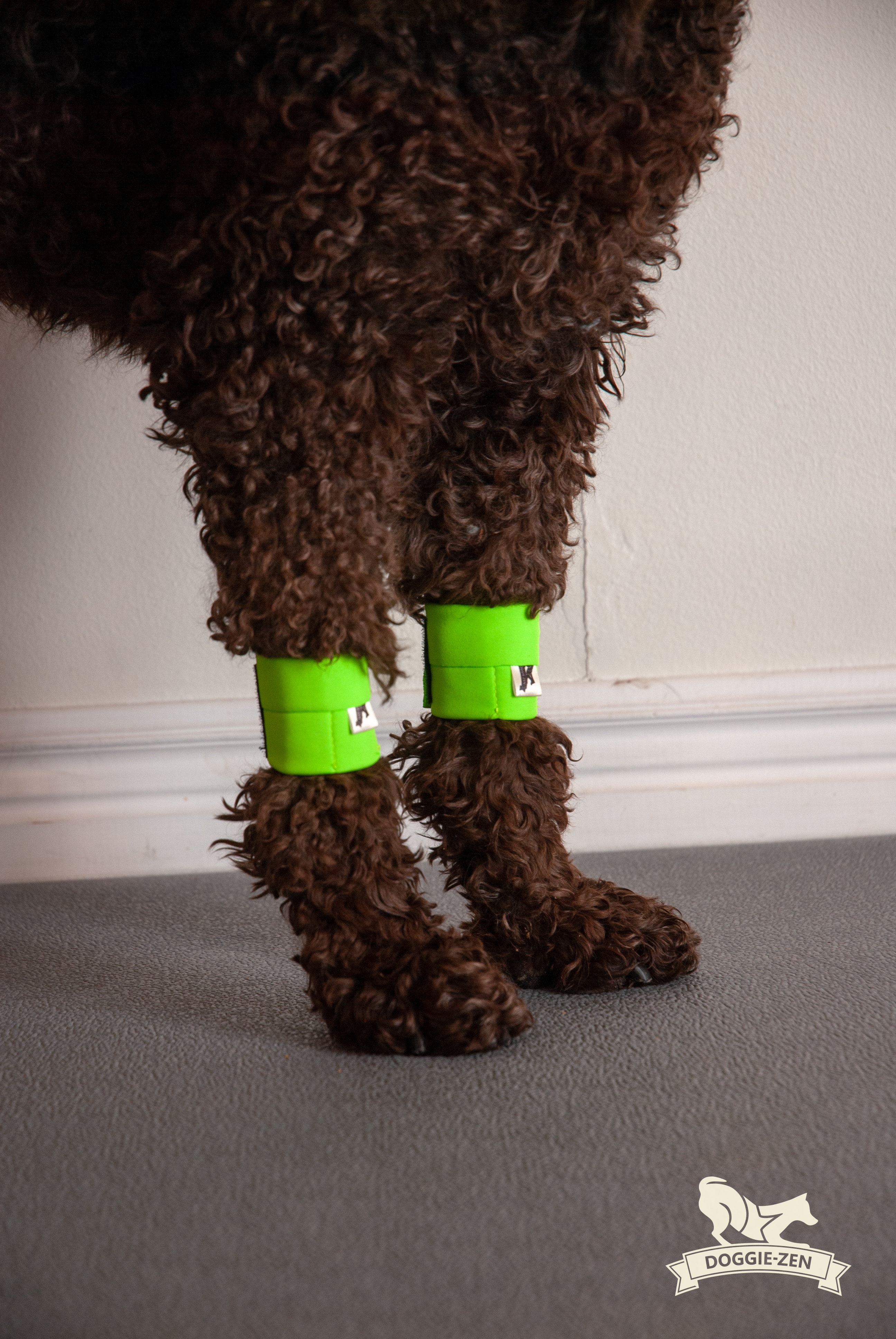 Canine Wrist/Ancle Weight Cuffs - 14