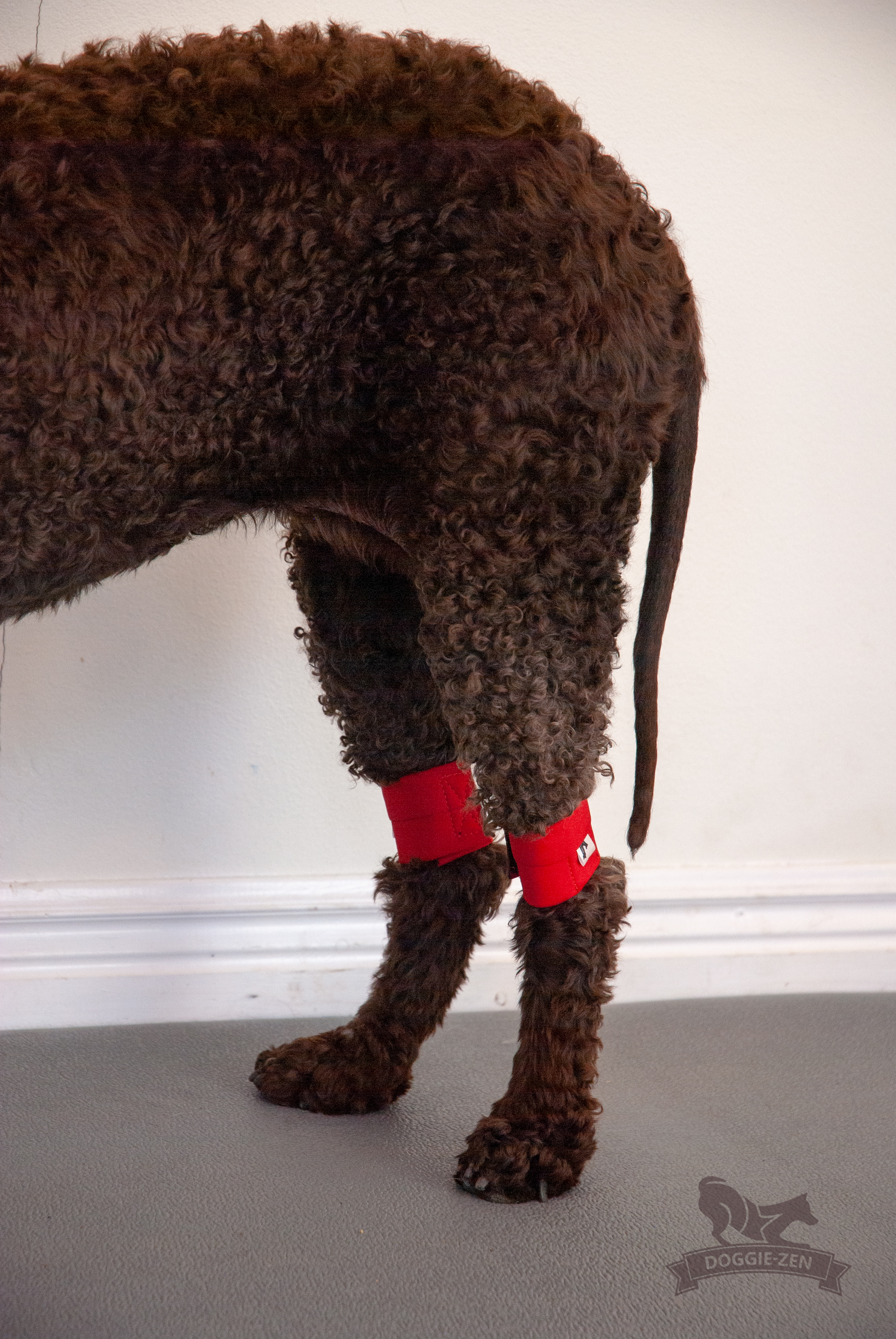 Canine Wrist/Ancle Weight Cuffs - 16