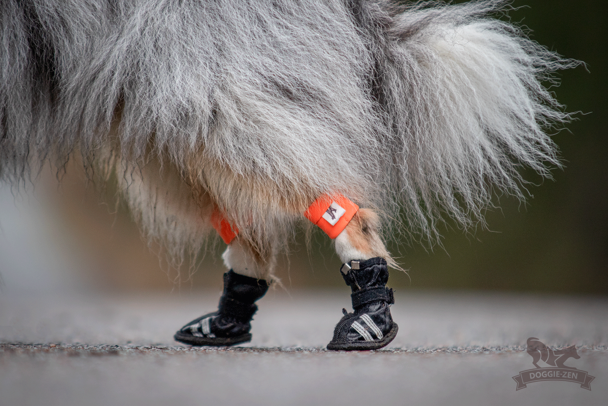 Canine Wrist/Ancle Weight Cuffs - 22