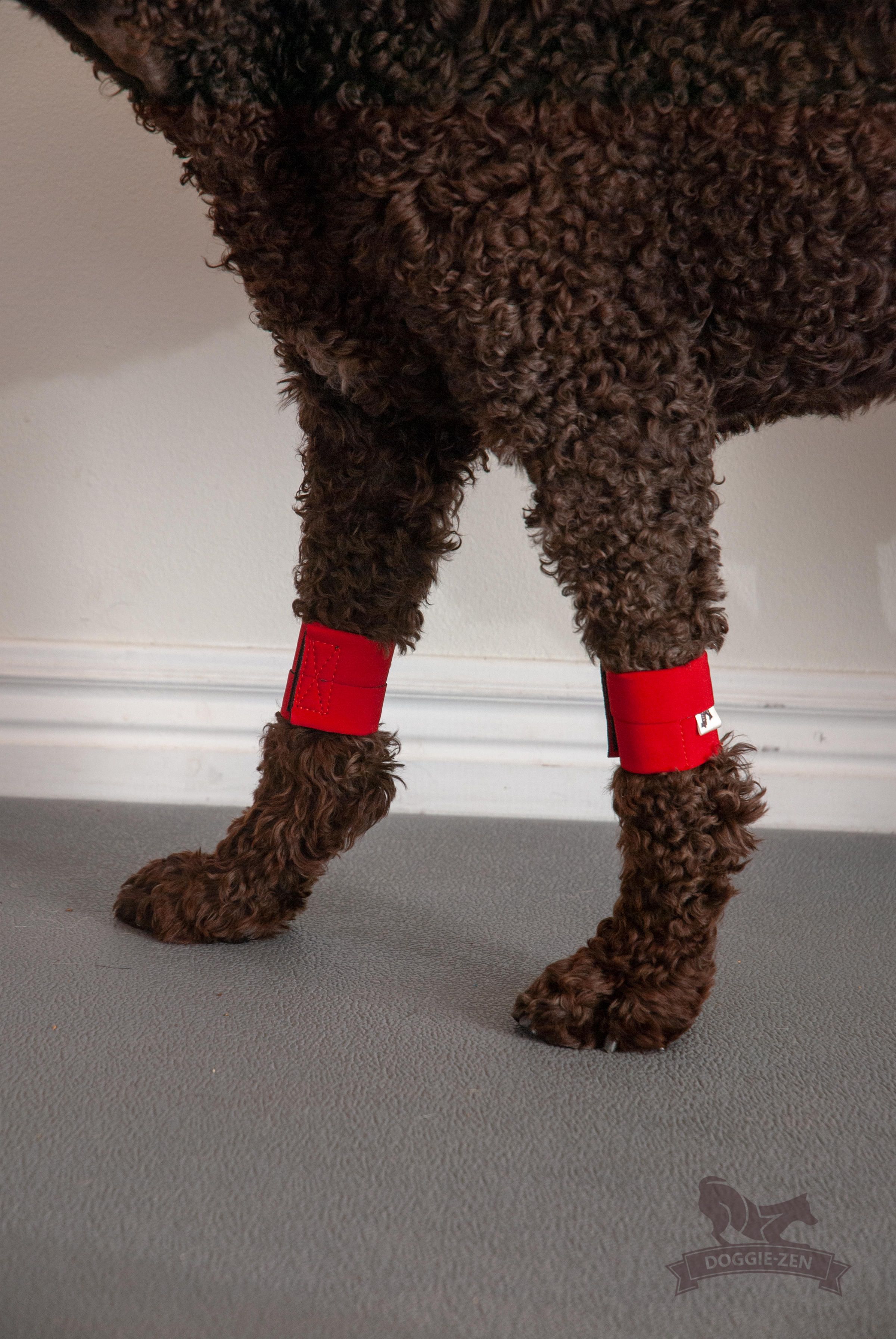 Canine Wrist/Ancle Weight Cuffs - 17