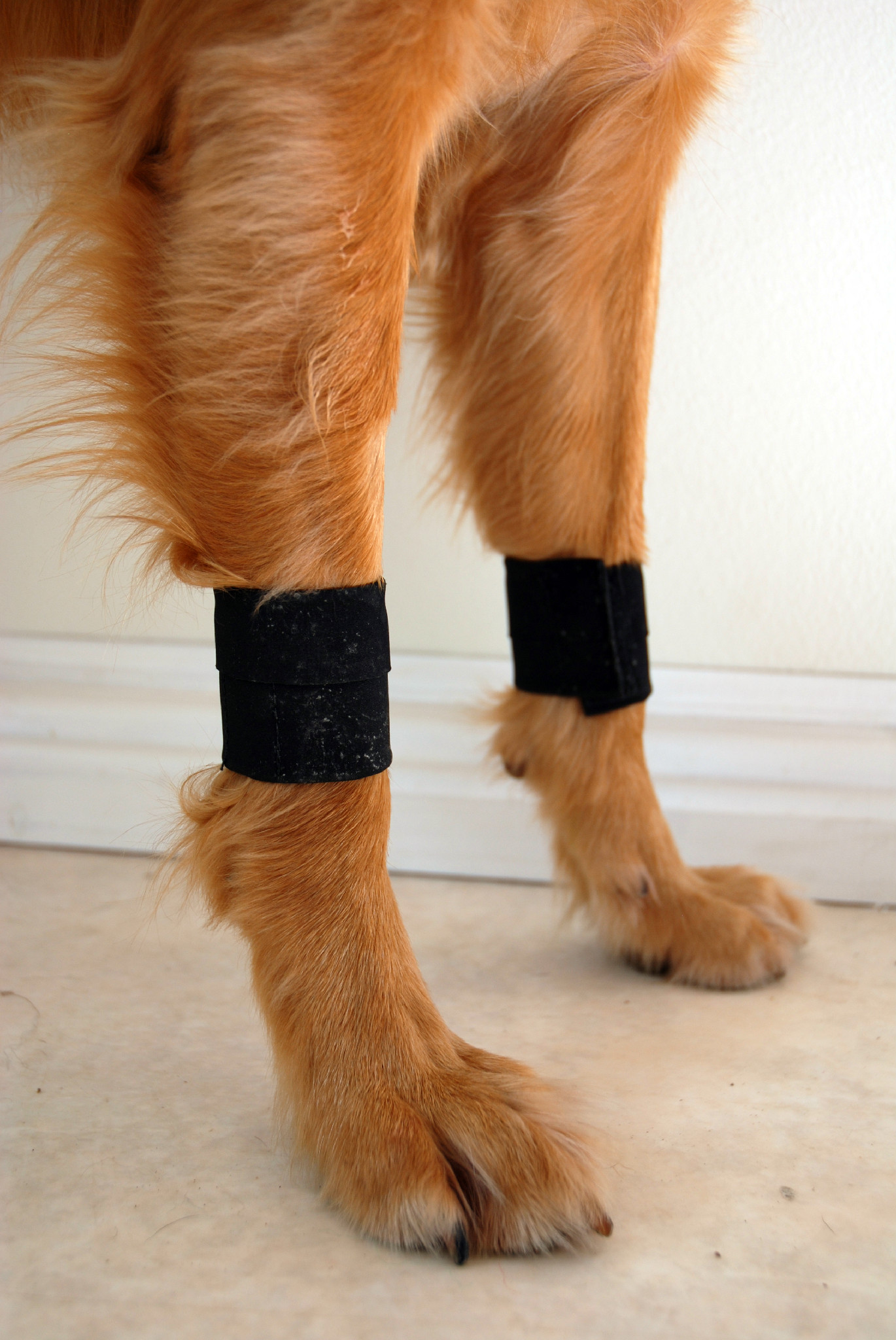 Canine Wrist/Ancle Weight Cuffs - 10