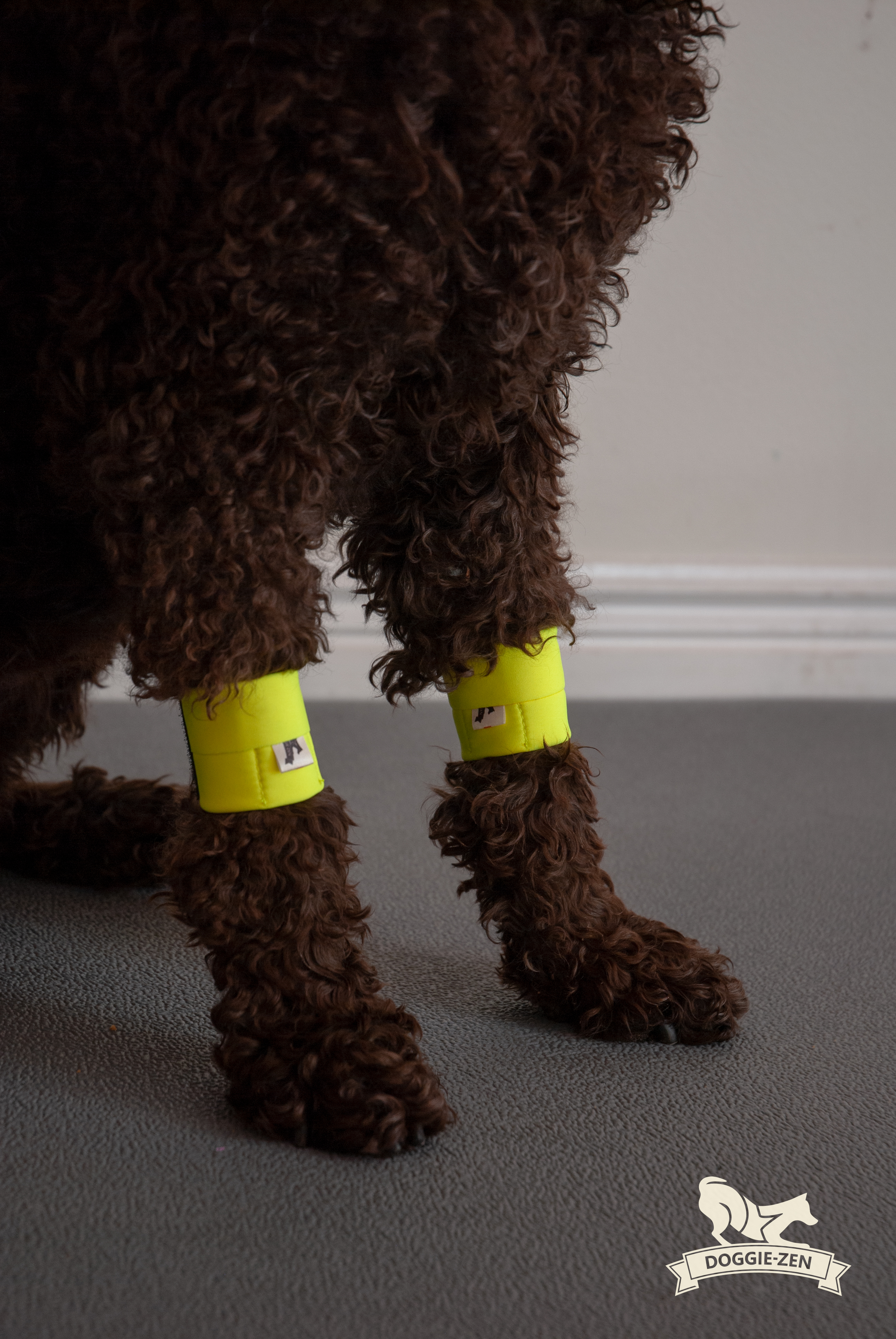 Canine Wrist/Ancle Weight Cuffs - 13