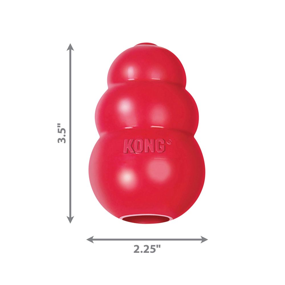 KONG Classic M - 4