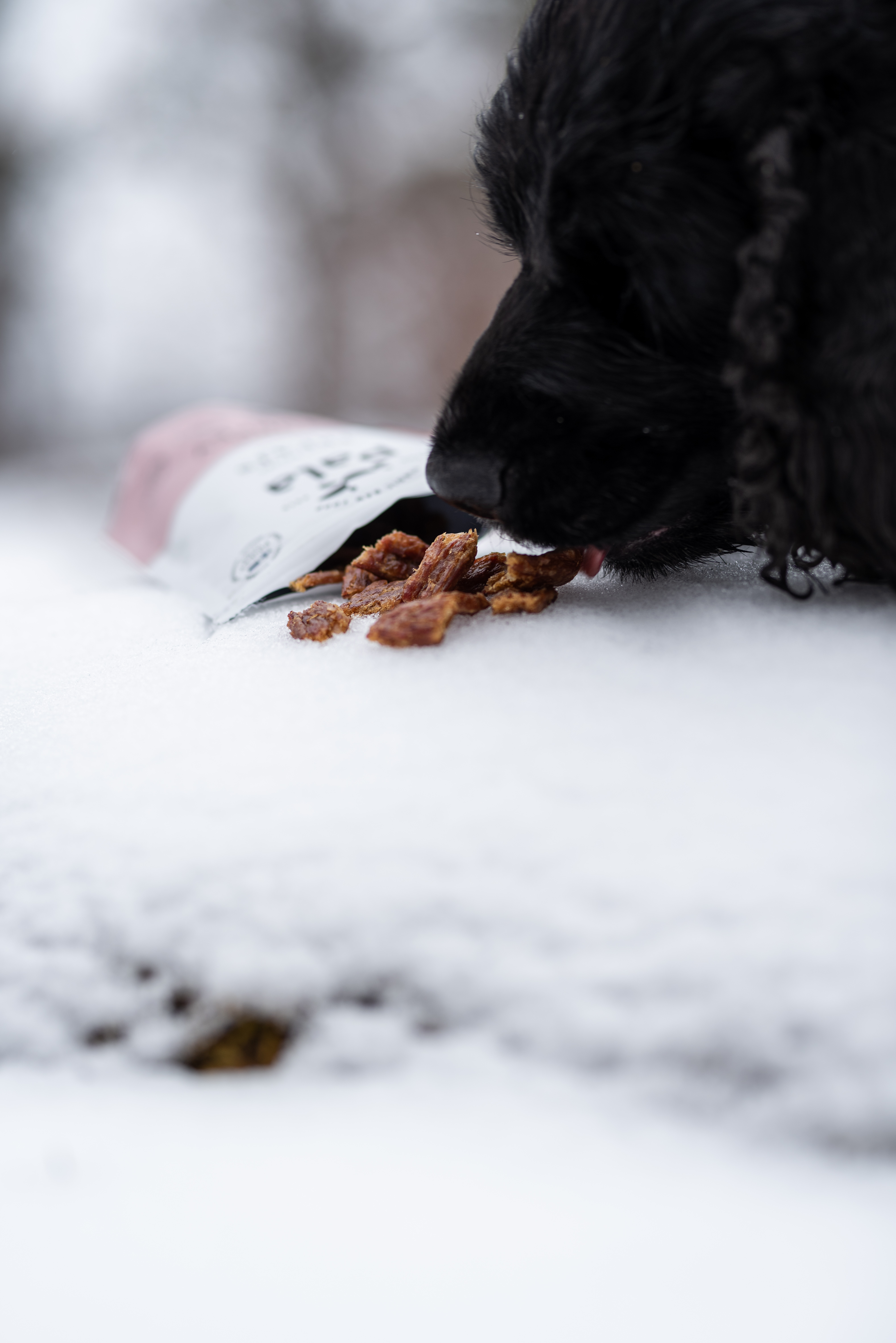 Pala Turkey Treats 100 g - 4