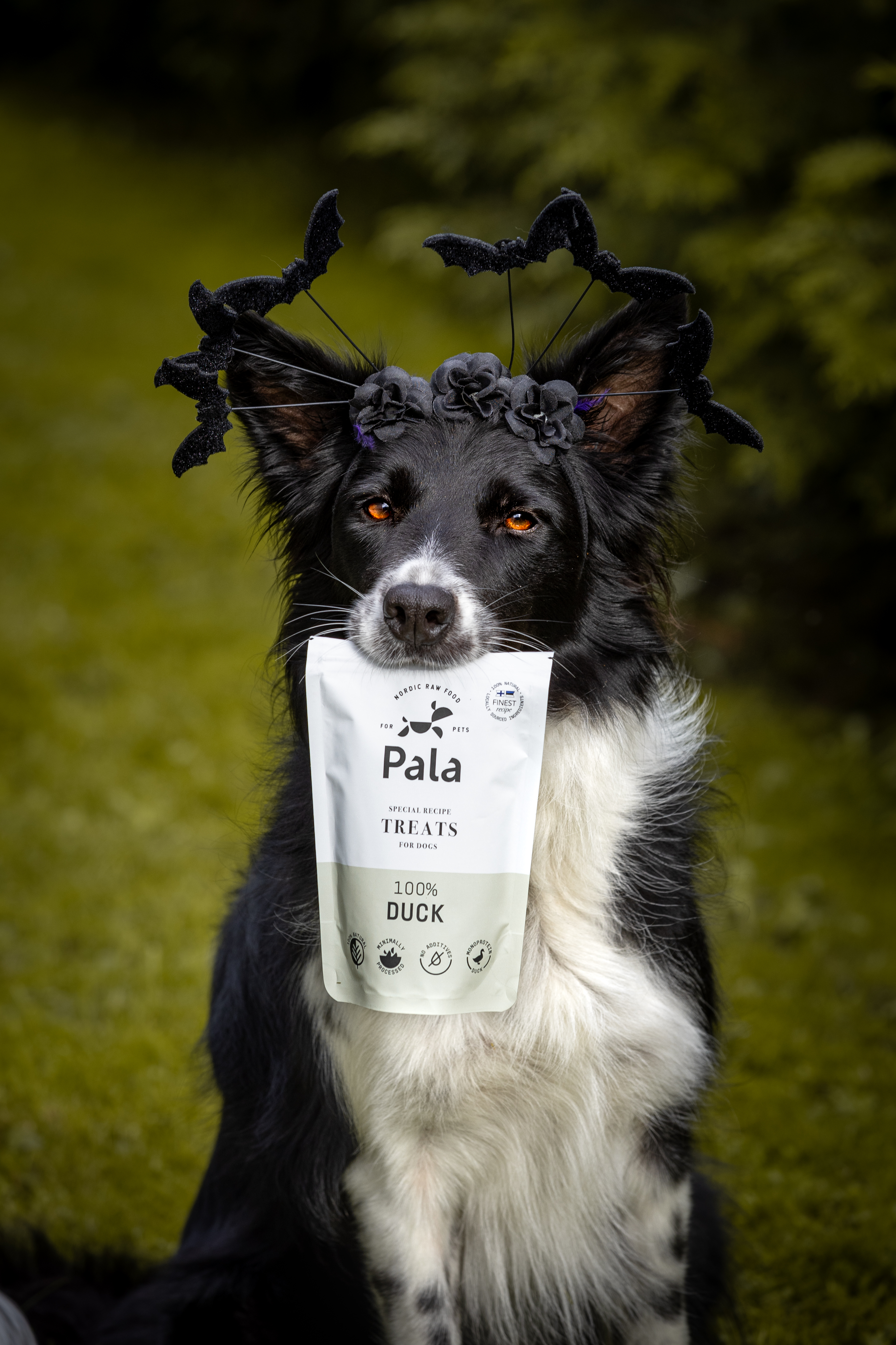 Pala Duck Treats 100 g - 3
