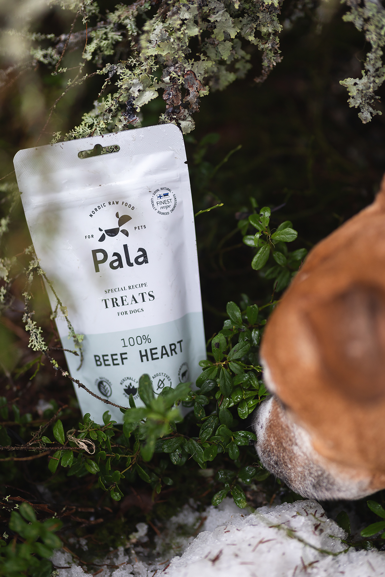 Pala Beef Heart Treats 100 g - 6