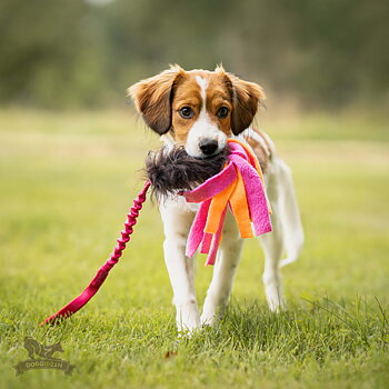Bungee Sheepskin Tug S with Fleece Tails