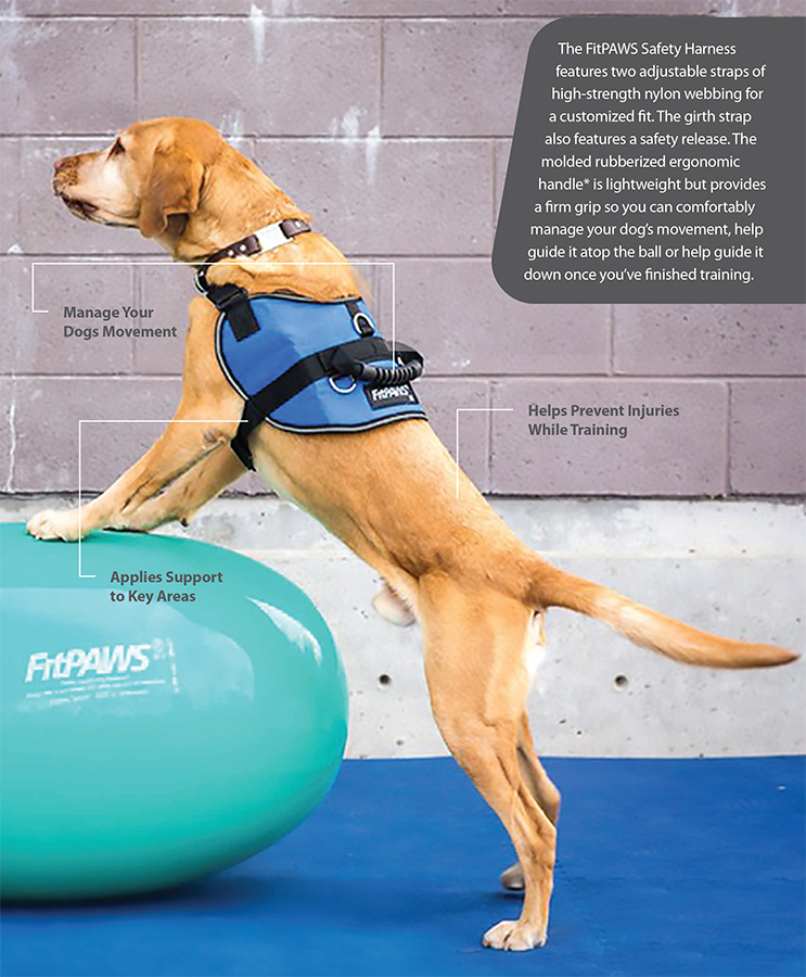 FitPAWS Safety Harness Säkerhetssele