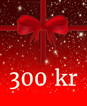 Presentkort 300 kr
