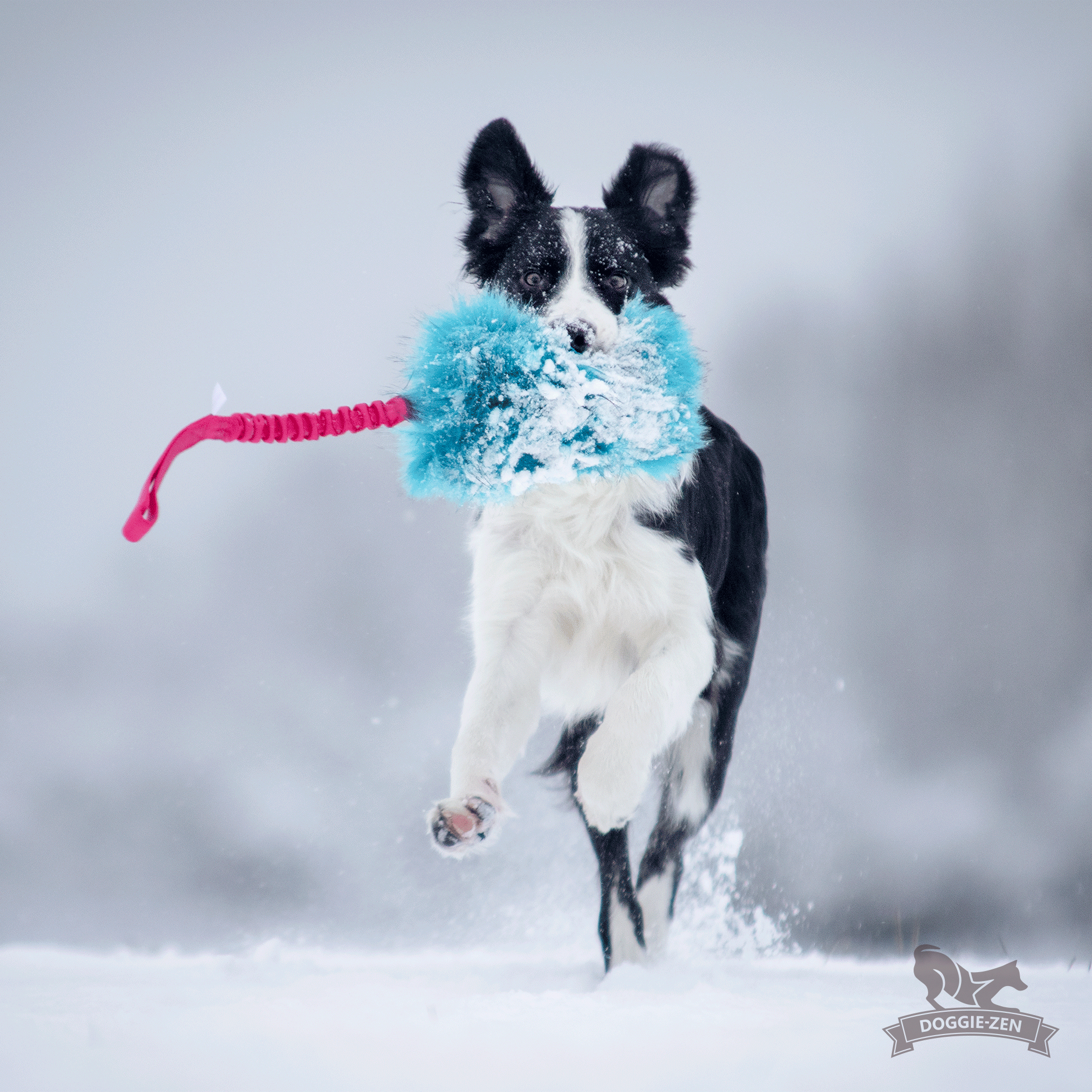Elastisk belöningskampis fuskpäls XL - 5