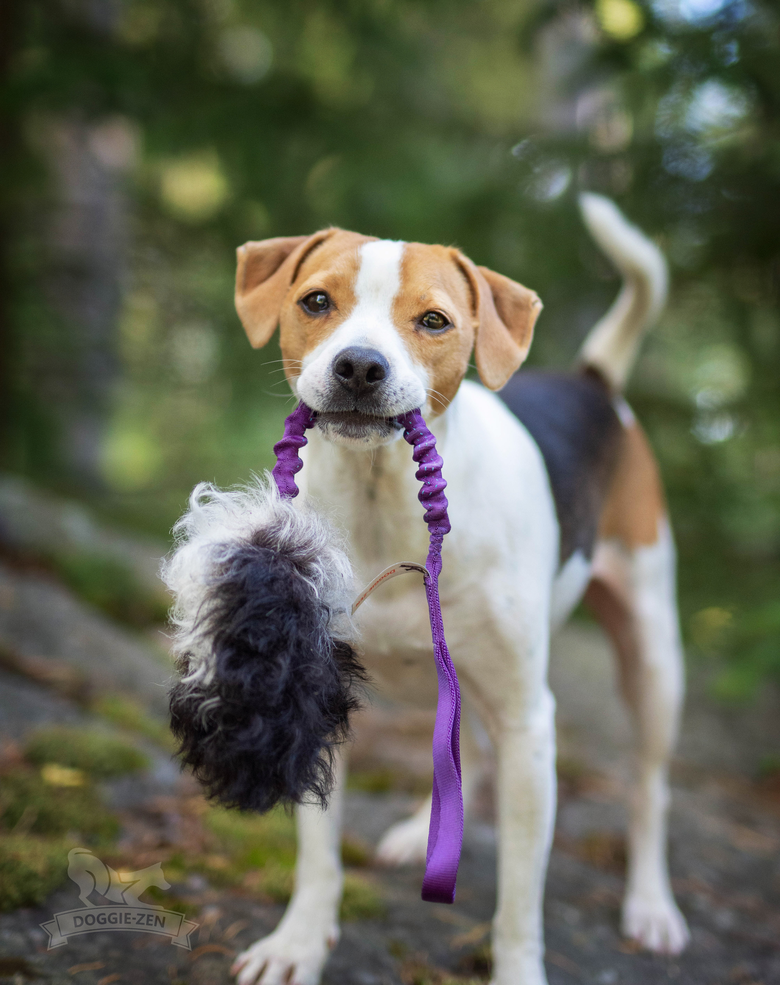 Bungee Treat Tug Sheepskin S - 12