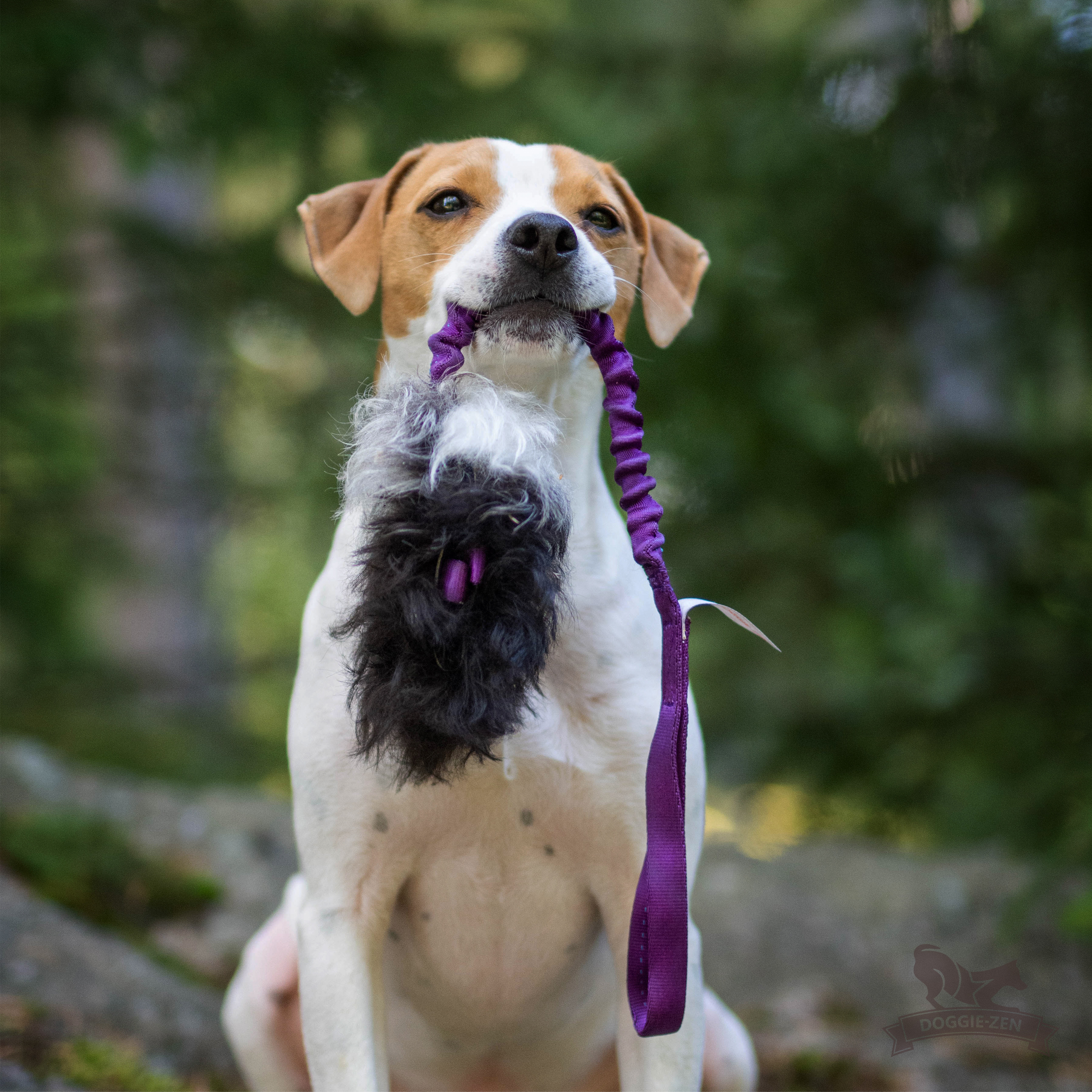 Bungee Treat Tug Sheepskin S - 8